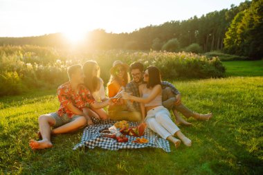Parktaki bir piknikte bir grup mutlu arkadaş gülüyor ve dışarıda eğleniyorlar. İnsanların konsepti, yaşam tarzı, seyahat, tatil, doğa