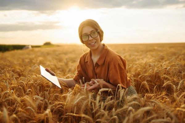Elinde Bir Buğday Tarlasında Dijital Tabletle Genç Bir Kadın Çiftçi — Stok fotoğraf