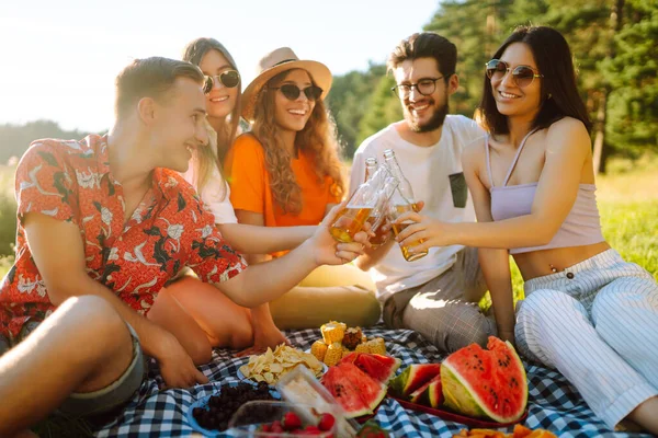 Group Happy Friends Picnic Park Green Lawn Laughing Having Fun — Stock Photo, Image