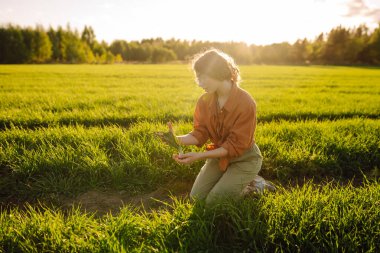 Tarım tarlalarının arka planında dişi çiftçinin elindeki genç bitki. Deneyimli bir kadın elinde taze lahanalar tutuyor, buğdayın kalitesini ve büyümesini kontrol ediyor. Tarım kavramı.