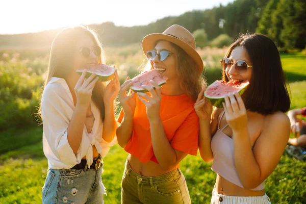 在炎炎夏日野餐的时候 一群面带微笑的好朋友玩得开心 吃西瓜 三个朋友正在放松和享受大自然 友谊的概念 — 图库照片
