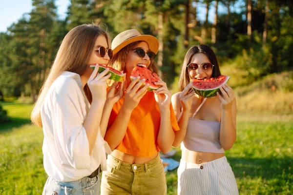 在炎炎夏日野餐的时候 一群面带微笑的好朋友玩得开心 吃西瓜 三个朋友正在放松和享受大自然 友谊的概念 — 图库照片