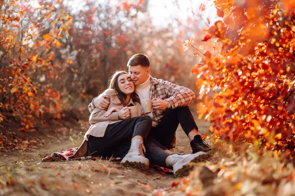 幸せで若いカップルは美しい秋の公園を散歩し 美しい天気を楽しんでいます 妊娠した夫婦は自然の中で一緒に休んでいます バケーション ライフスタイルコンセプト — ストック写真