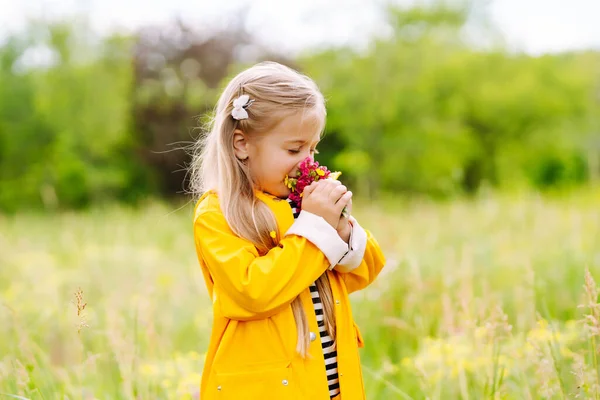 Щаслива Дівчинка Яка Збирає Дикі Квіти Лузі Літні Сезонні Заходи — стокове фото