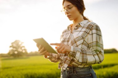 Yeşil buğday tarlasında elinde dijital tabletle genç bir çiftçi kadın. Hasatın ilerleyişini kontrol ediyorum. Tarım konsepti. Akıllı çiftlik.
