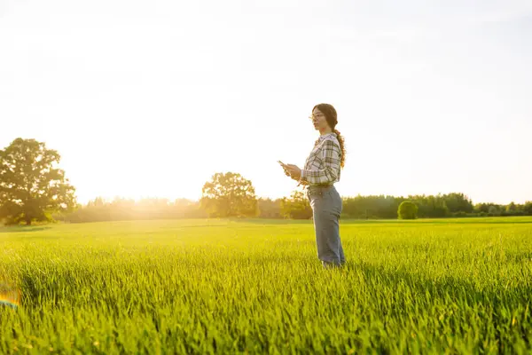 Young farmer woman with digital tablet evaluates shoots, green wheat sprouts in the field. Farm work. Technology of modern agriculture. Harvesting. Concept of ecology, gardening.