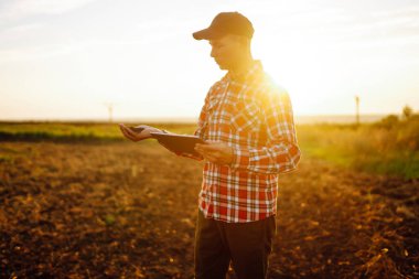 Deneyimli bir çiftçinin eli toprağı tutar ve modern bir tabletle sağlığını kontrol eder. Hasat. Tarım sektörü