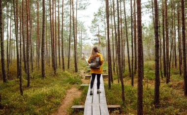 Sırt çantalı sarı ceketli bir kadın turist ormanda ahşap bir patika boyunca seyahat ediyor. İz sürüyorum. Seyahat kavramı, doğa, tatil.
