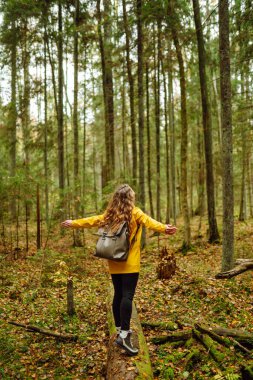 Sırt çantalı sarı ceketli bir kadın turist ormanda ahşap bir patika boyunca seyahat ediyor. İz sürüyorum. Seyahat kavramı, doğa, tatil.