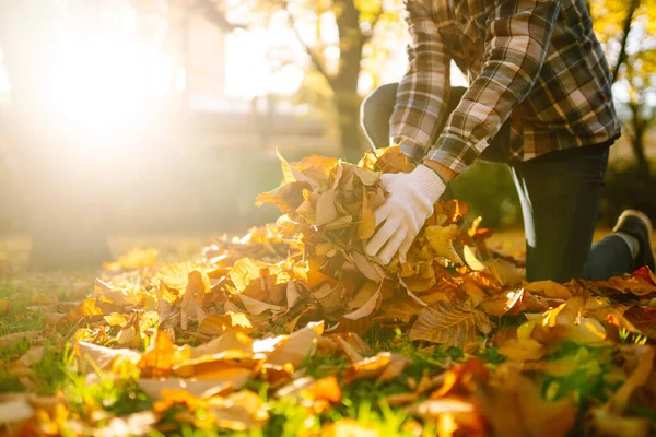Close Mãos Humanas Luvas Raking Folhas Caídas Gramado Parque Outono — Fotografia de Stock