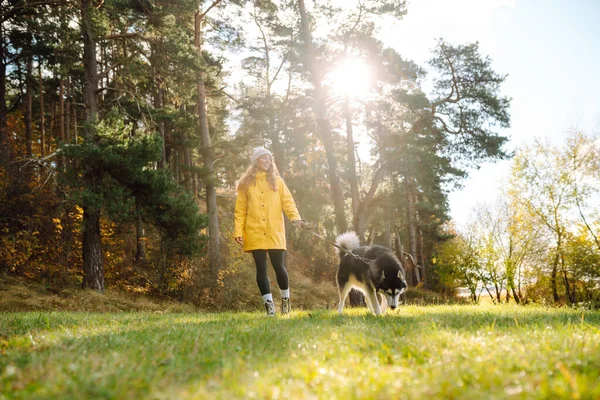 帽子と黄色のコートの美しい若い女性は 公園の芝生の上に彼女の夫と散歩します 彼女の犬と屋外に出てくる幸せな女性 散歩の概念 — ストック写真