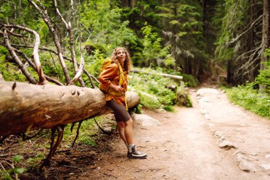 Sarı sırt çantalı bir gezgin ormandaki dağların arasında yürüyüş yolu boyunca yürür. Kıvırcık kadın turist doğayı seviyor, yeni yerler keşfediyor..