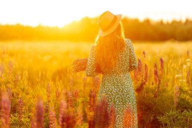 Hasır şapkalı, parlak elbiseli, elinde mor lupin çiçekleri olan güzel bir kadın. Gülümseyen kadın kırsalda yürürken havadan ve manzaradan hoşlanır..