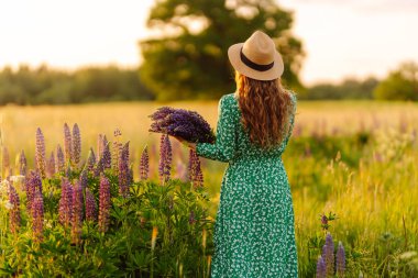 Hasır şapkalı, parlak elbiseli, elinde mor lupin çiçekleri olan güzel bir kadın. Gülümseyen kadın kırsalda yürürken havadan ve manzaradan hoşlanır..