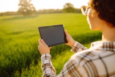 Çiftçi kadın modern teknoloji kullanıyor, dijital tablet akıllı çiftçilik için. Ürün büyümesini kontrol ediyorum. Tarım faaliyetleri.