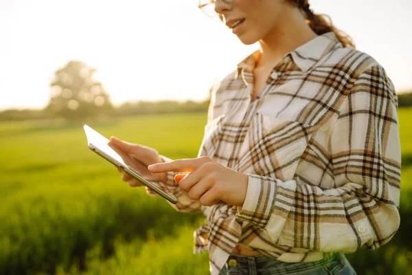 Женщина Фермер Использует Современные Технологии Цифровые Планшеты Умного Земледелия Проверяю — стоковое фото