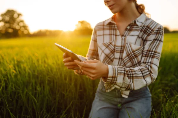 Женщина Фермер Использует Современные Технологии Цифровые Планшеты Умного Земледелия Проверяю — стоковое фото