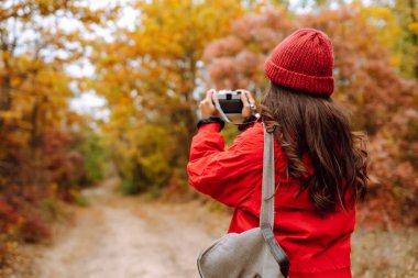 Sonbahar ormanında yürüyüş yaparken elinde fotoğraf makinesi ve şık bir kazakla gezen mutlu bir bayan turist. Bir kadın fotoğraf çeker ve doğanın güzelliğinden zevk alır..