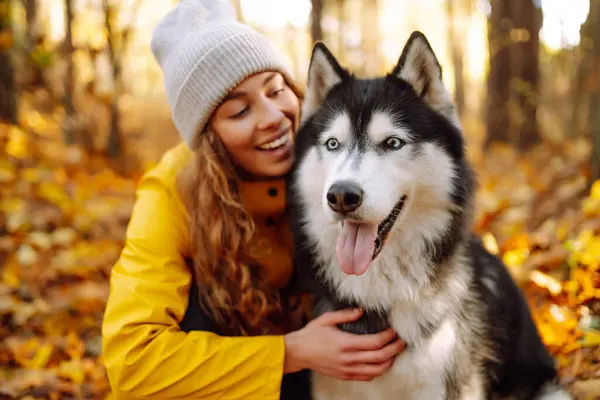 黄色いコートの笑顔の女性は 晴れた天気の秋の森で彼女のかわいいペットハスキーと歩いています ペットの所有者は屋外で彼女の犬を歩くことを楽しんでいます — ストック写真