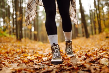 Sonbahar yeşilliklerinde kadın bacakları. Yaprak düştü. Bir kadın turist sonbahar ormanında düşen yaprakların arasında yürüyor. Yaşam tarzı kavramı.