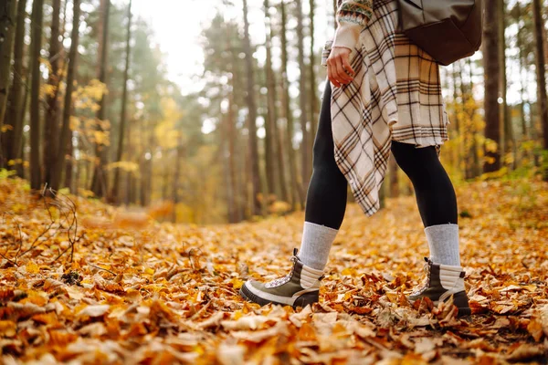 Woman\'s legs in boots in autumn foliage. Leaf fall. A woman tourist walks through fallen leaves in the autumn forest. Lifestyle concept.