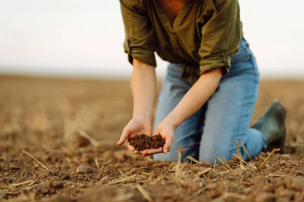 Soil in the hands of a woman farmer. The experienced hands of the female farmer check the health and quality of the soil before sowing. Ecology, agriculture concept.