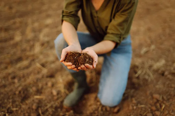 Soil in the hands of a woman farmer. The experienced hands of the female farmer check the health and quality of the soil before sowing. Ecology, agriculture concept.