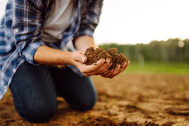 Çiftçinin elleri toprağı tutuyor, ekmeden önce toprak sağlığını kontrol ediyor. Kara topraklı ellerin yakın çekimi. İş ya da ekoloji kavramı.