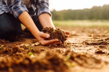 Çiftçinin elleri toprağı tutuyor, ekmeden önce toprak sağlığını kontrol ediyor. Kara topraklı ellerin yakın çekimi. İş ya da ekoloji kavramı.
