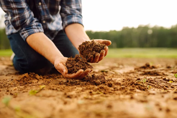 Boerenhanden Houden Grond Vast Controleren Gezondheid Van Bodem Voor Het — Stockfoto