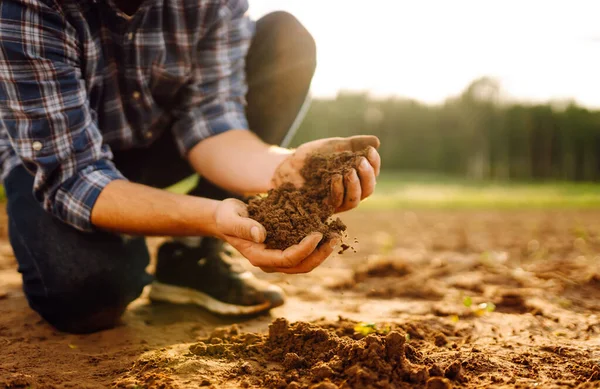 Çiftçinin Elleri Toprağı Tutuyor Ekmeden Önce Toprak Sağlığını Kontrol Ediyor — Stok fotoğraf