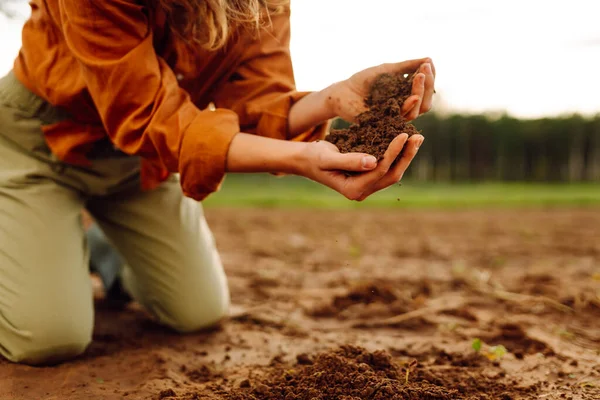 Soil is in the hands of the farmer. Close-up of experienced hands of a farmer woman holding black soil, fertile land, checking its health. Agriculture concept.