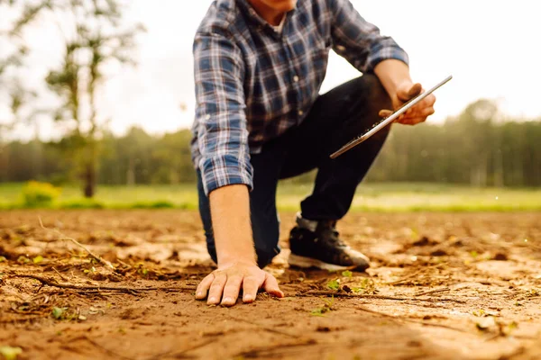 Właściciel Farmy Dotyka Gleby Sprawdza Jakość Gleby Przed Siewem Trzyma — Zdjęcie stockowe