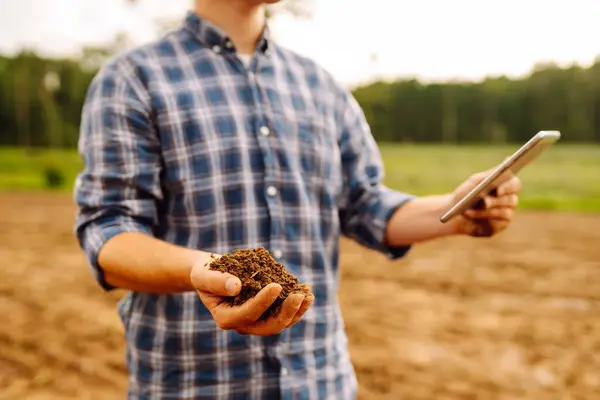 화창한 필드에서 경험이 풍부한 농부는 토양을 디지털 태블릿을 사용하여 건강을 — 스톡 사진