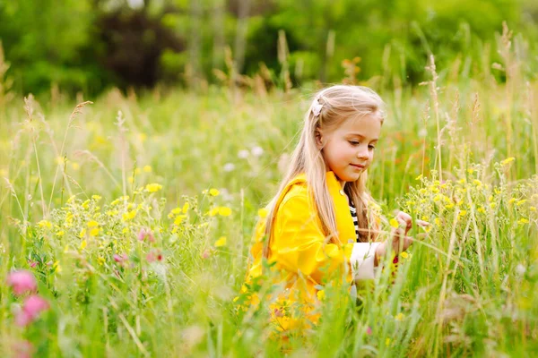 Sarı Ceketli Küçük Bir Kız Eğleniyor Parkta Kır Çiçekleri Topluyor — Stok fotoğraf