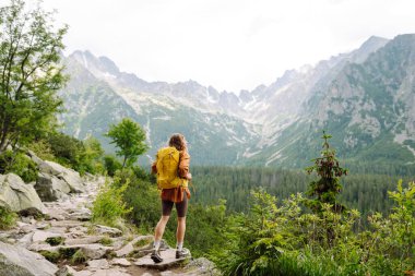 Sarı bir sırt çantasıyla aktif bir kadın ormanların ve kayalıkların arasında dağlarda yürüyüş parkurları boyunca seyahat ediyor. Gezgin doğanın tadını çıkarıyor. Yürüyüş kavramı, aktif yaşam tarzı. Maceralar.