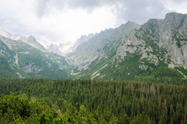 Dağların ormandaki yürüyüş parkurundaki nefes kesici manzarası ve bir dağlık göl. Yüksek Tatras Dağları 'nın yeri, Avrupa. Doğa konsepti, görüşler.
