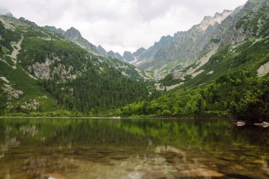 Dağların ormandaki yürüyüş parkurundaki nefes kesici manzarası ve bir dağlık göl. Yüksek Tatras Dağları 'nın yeri, Avrupa. Doğa konsepti, görüşler.