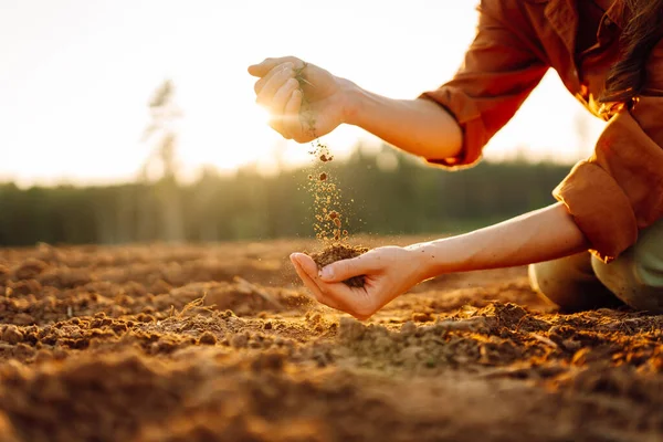 stock image Farmer's woman's hands touch the soil in the field. Women's hands hold the soil, checking the quality, health of the soil. Concept of gardening, agriculture.