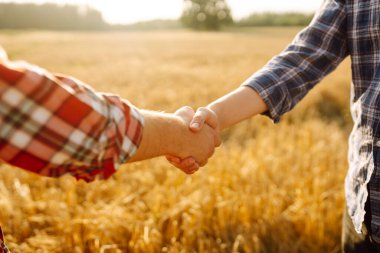 Çiftçinin tokalaşması gün batımında altın bir buğday tarlasının arka planında. İki çiftçi buğday tarlasında duruyor ve bir tokalaşmayla işi bitiriyor. Tarım sektörü.