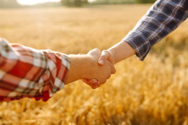 Çiftçinin tokalaşması gün batımında altın bir buğday tarlasının arka planında. İki çiftçi buğday tarlasında duruyor ve bir tokalaşmayla işi bitiriyor. Tarım sektörü.