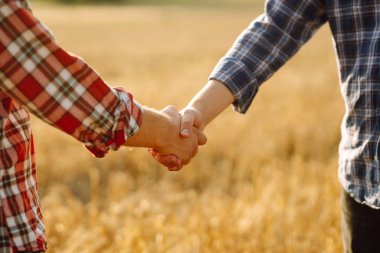 Çiftçinin tokalaşması gün batımında altın bir buğday tarlasının arka planında. İki çiftçi buğday tarlasında duruyor ve bir tokalaşmayla işi bitiriyor. Tarım sektörü.