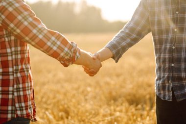 Çiftçinin tokalaşması gün batımında altın bir buğday tarlasının arka planında. İki çiftçi buğday tarlasında duruyor ve bir tokalaşmayla işi bitiriyor. Tarım sektörü.