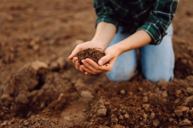 Toprağın kalitesini ve sağlığını ölçmek için gübre ve verimli kara toprağı tutan dişi çiftçilerin yakın çekimleri. Doğa, bahçe konsepti.