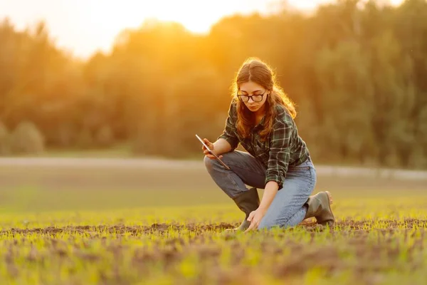 부츠를 여성은 디지털 태블릿으로 뿌리기 토양의 품질을 확인합니다 새싹의 분야에서 — 스톡 사진