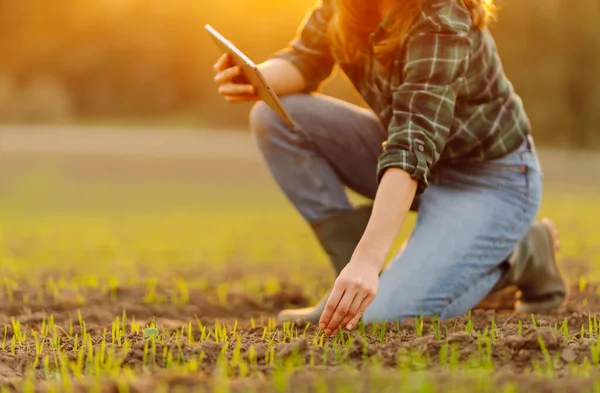 ブーツの農民女性は デジタルタブレットで彼女の手に播種する前に土壌の品質をチェックします 若い芽の分野の女性のアゴロニスト ガーデニング エコロジー 手法の概念 — ストック写真