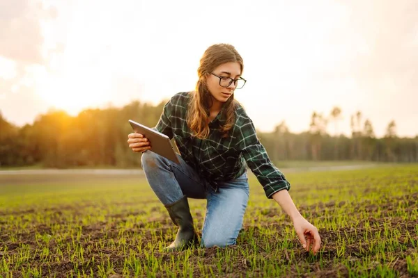 ブーツの農民女性は デジタルタブレットで彼女の手に播種する前に土壌の品質をチェックします 若い芽の分野の女性のアゴロニスト ガーデニング エコロジー 手法の概念 — ストック写真