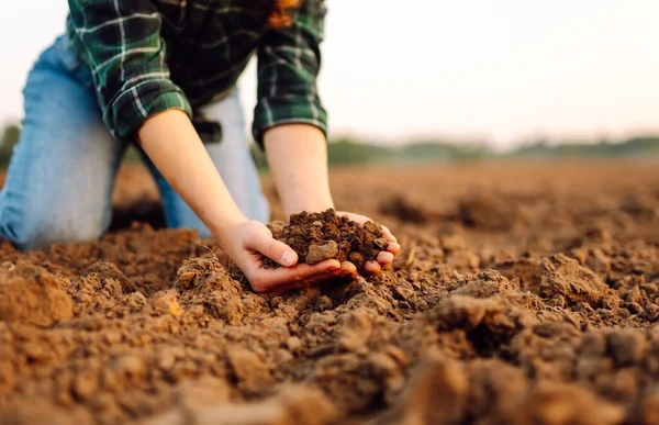 Pendekatan Tangan Petani Wanita Memegang Kompos Tanah Hitam Subur Untuk — Stok Foto