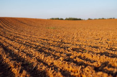 Kırsal alan. Bitkiler, sebzeler, gün batımında tohum ekmeden önce hazırlanan kara toprağın yakın çekimi. Tarım kavramı.