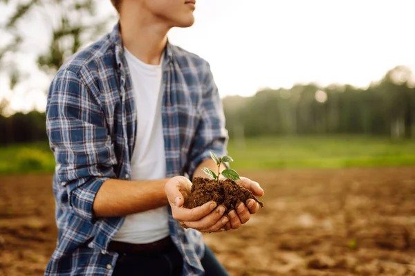 土で若い植物を持っている農夫の手を閉じます ガーデニングコンセプト — ストック写真